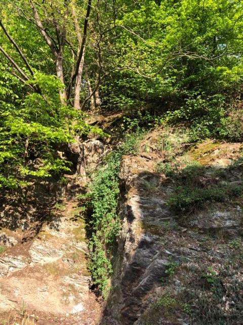 ' Au Coeur De La Vallee ' Érezée Buitenkant foto